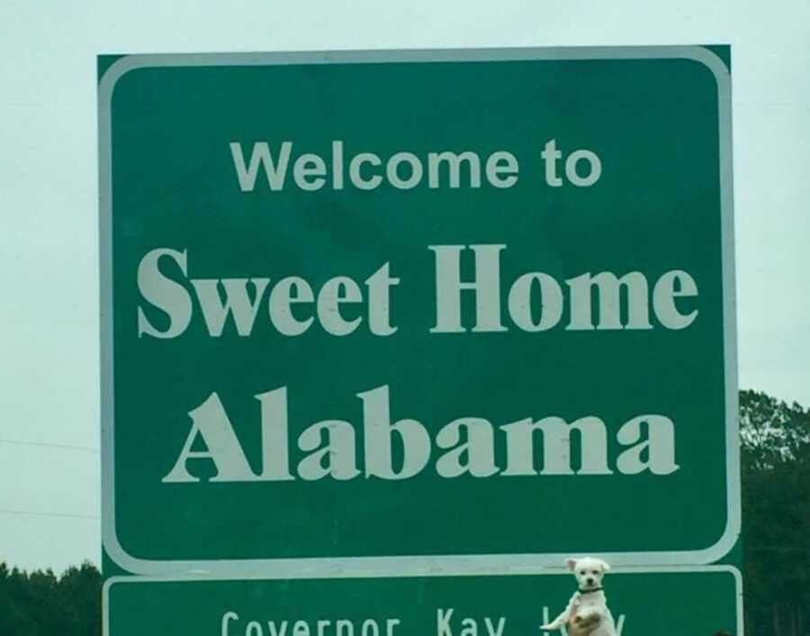 small white family dog being held up at Alabama state line sign