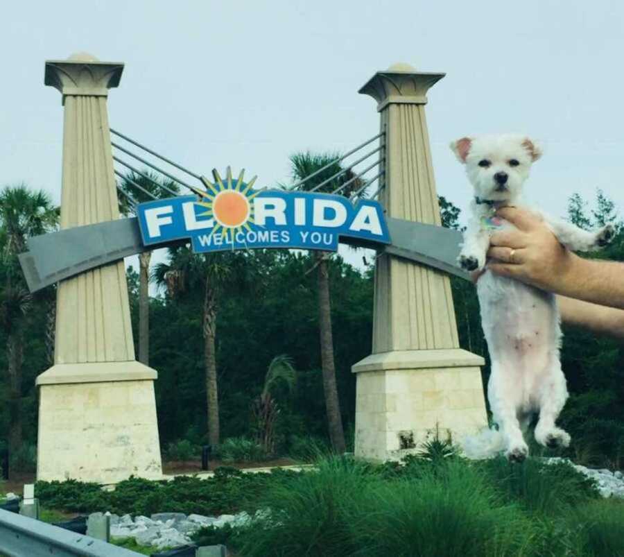 small white family dog being held up at Florida state line sign