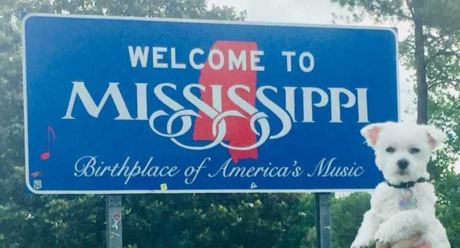 small white family dog being held up at Mississippi state line sign