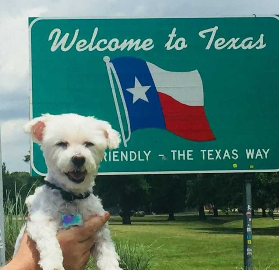 small white family dog being held up at Texas border sign