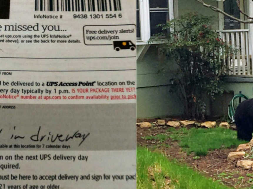 UPS driver leaves note saying he could not deliver package due to bear in driveway