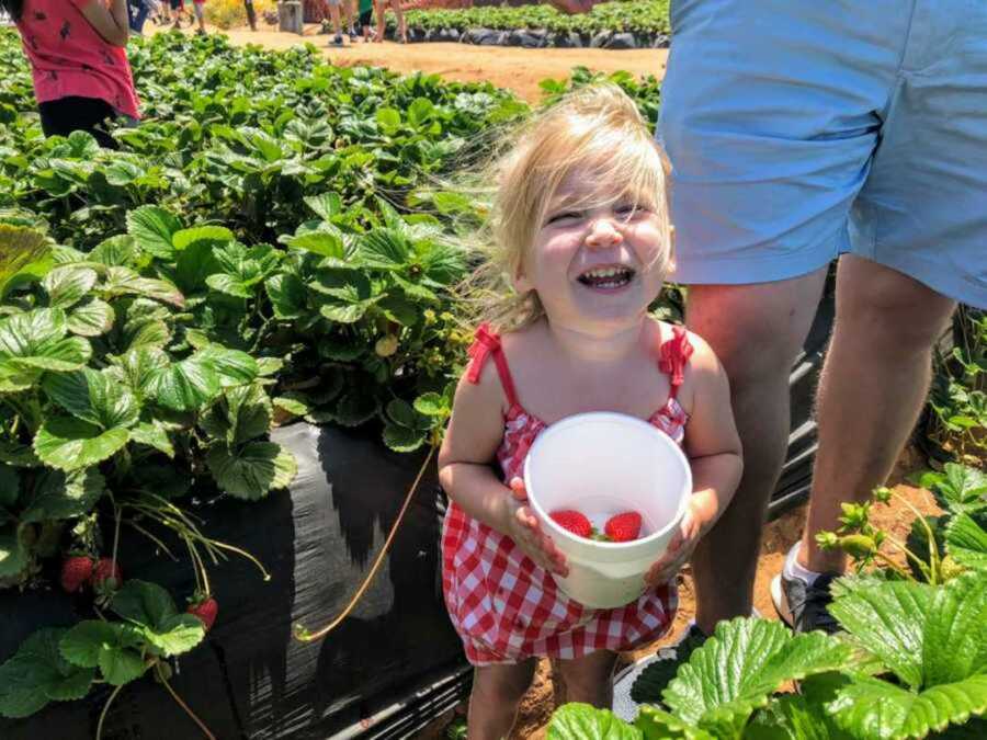 Joyous toddler holding a bucket of strawberries in a thriving strawberry field