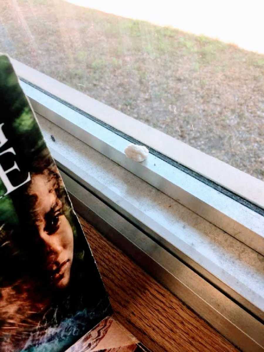 chewed gum stuck to classroom window
