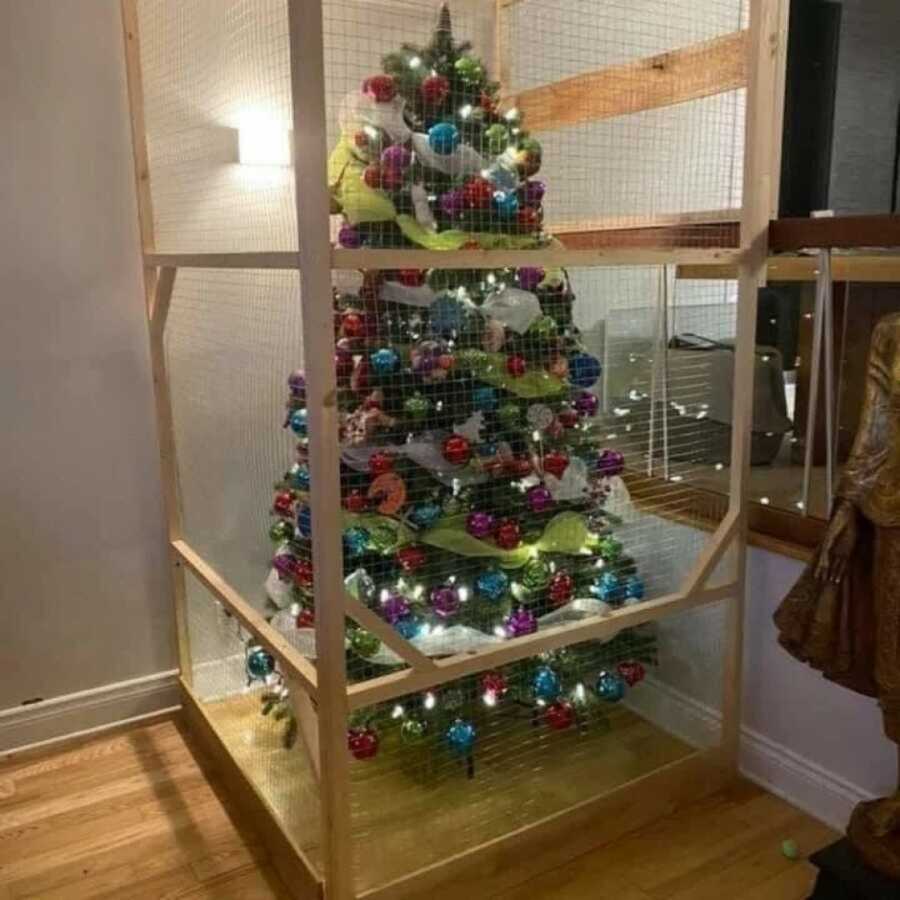 Christmas tree blocked off by wood planks and a screen