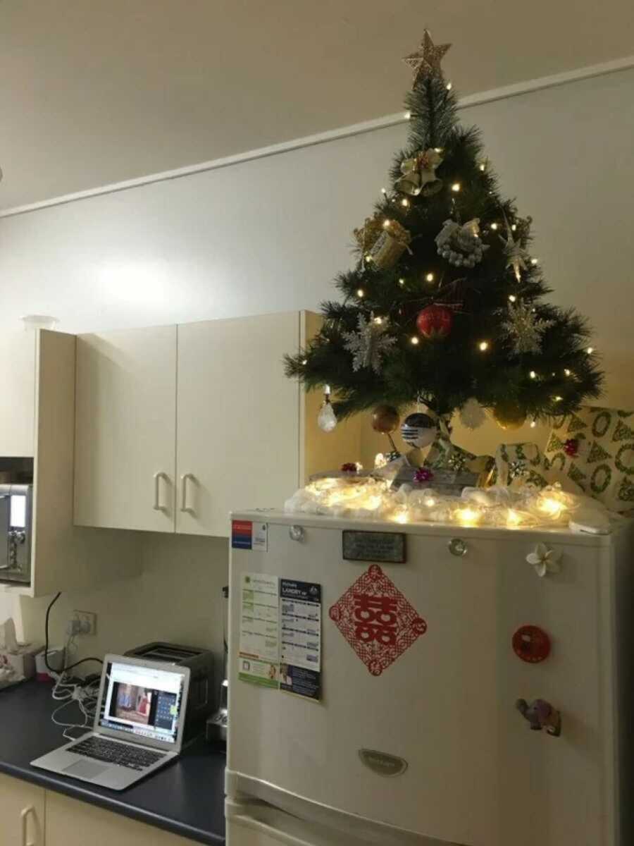 Christmas tree placed on top of the fridge in the kitchen