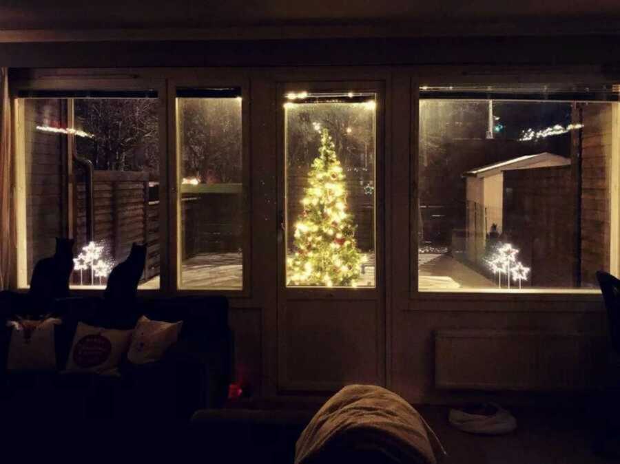 Lit up Christmas tree placed outside of the house with two cats staring at it from inside