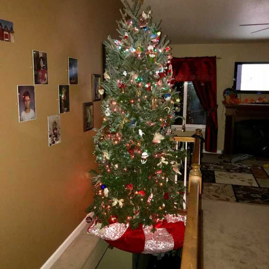 Decorated Christmas tree placed so animals don't get to it