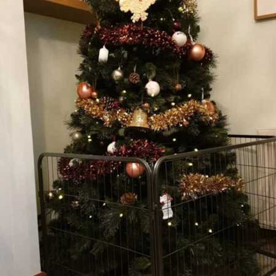 Decorated Christmas tree blocked off by baby gate