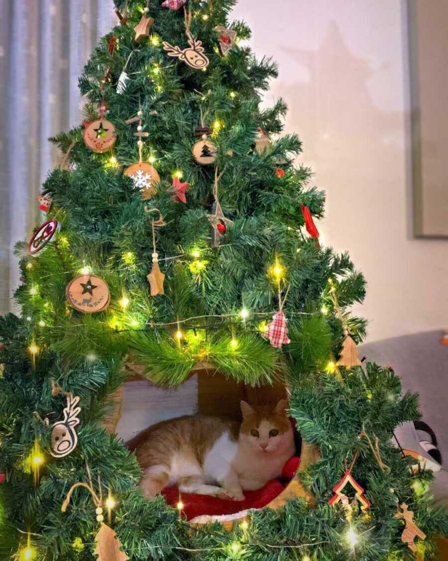 Christmas tree decorated as a cat bed with a cat inside of it
