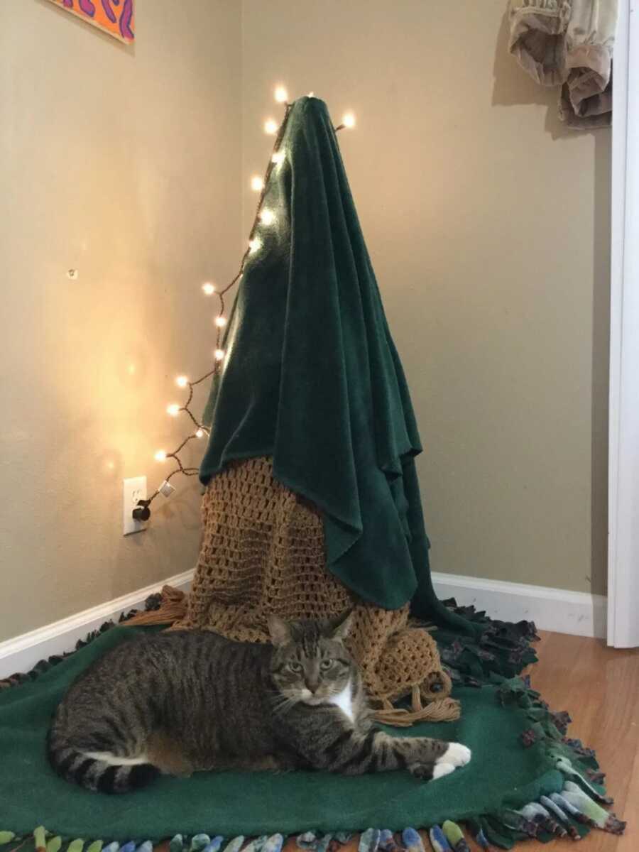 Christmas tree made out of blankets and a single strand of lights with a cat in front of it