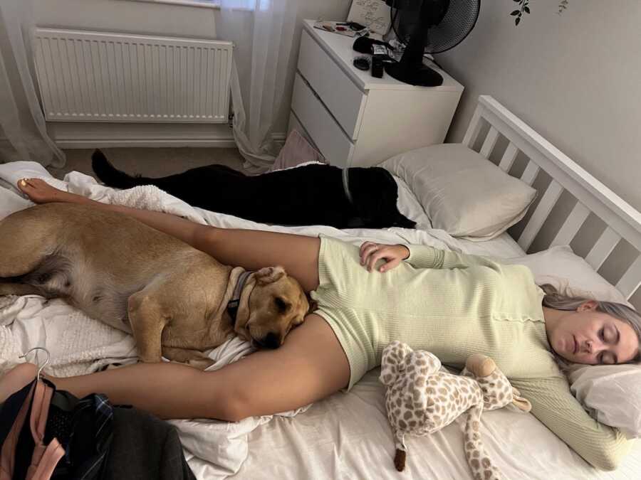 endometriosis warrior laying on bed with her two dogs beside her