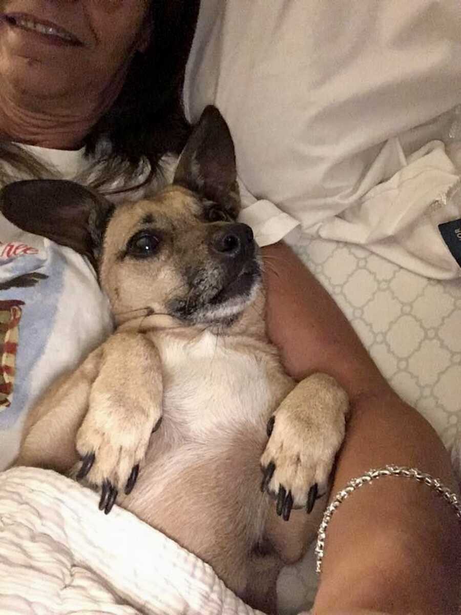 mom holding dog in bed